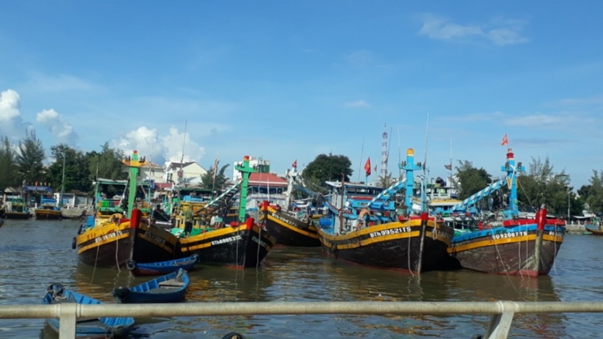 Hàng trăm tàu cá ở Bình Thuận mất kết nối thiết bị giám sát hành trình