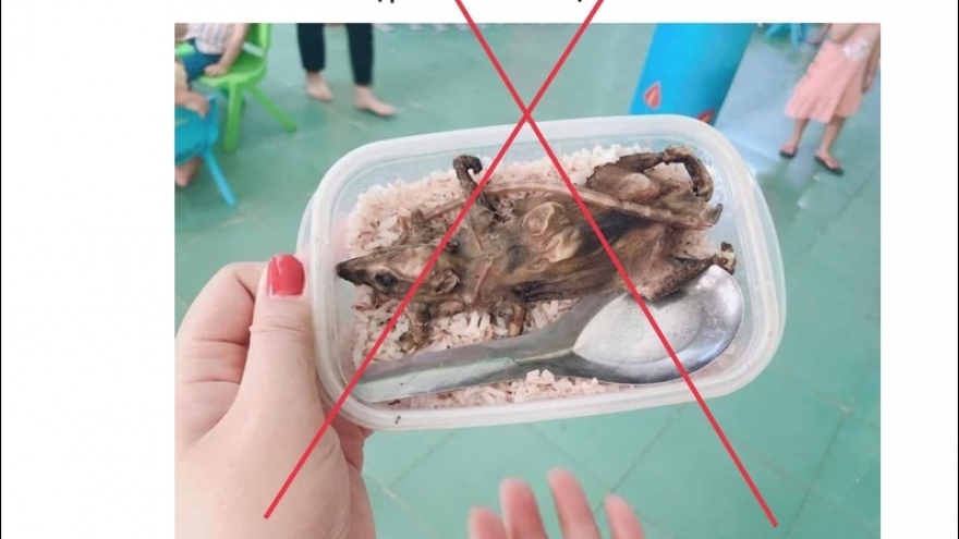 Thực hư hộp cơm thịt chuột được cho là của học sinh vùng cao Quảng Nam