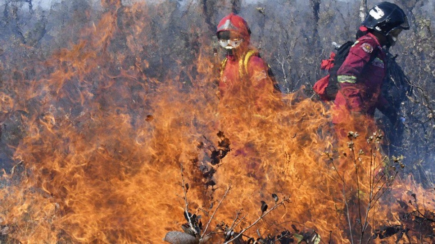Cháy rừng lan rộng, đe dọa thảm thực vật và các khu bảo tồn thiên nhiên Bolivia