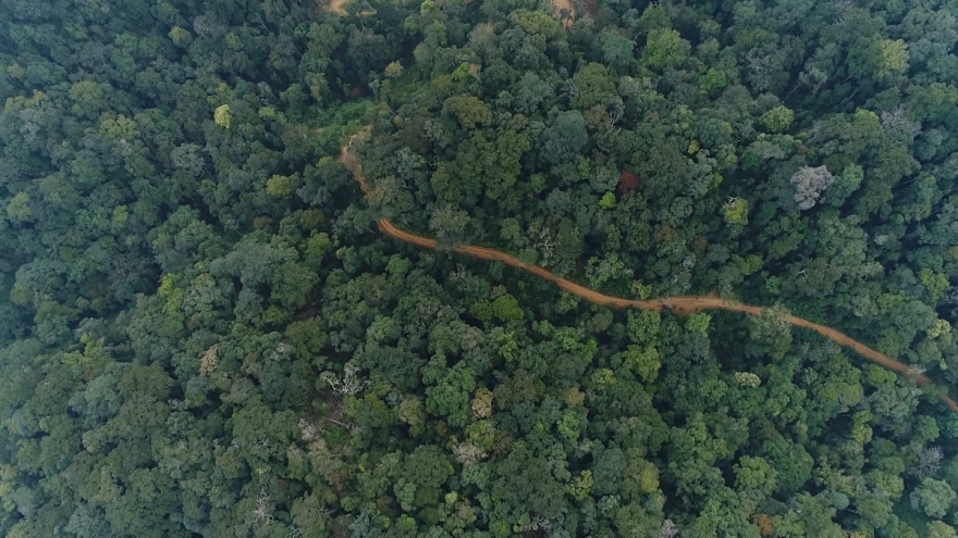 Bảo tồn đa dạng sinh học gắn với phát triển rừng bền vững