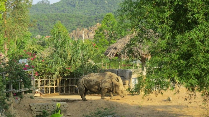 Công an điều tra nguyên nhân 6 con tê giác chết tại khu sinh thái ở Nghệ An