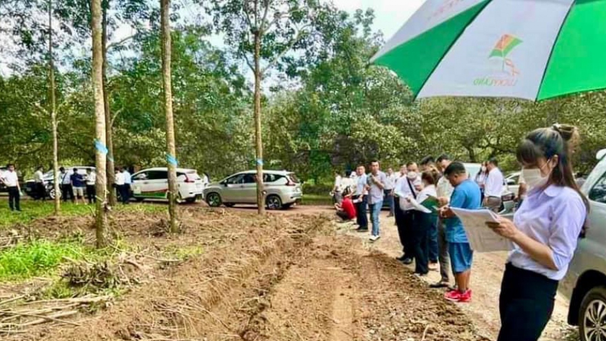 Chính quyền Bình Phước đang kiểm tra việc bán đất như bán rau