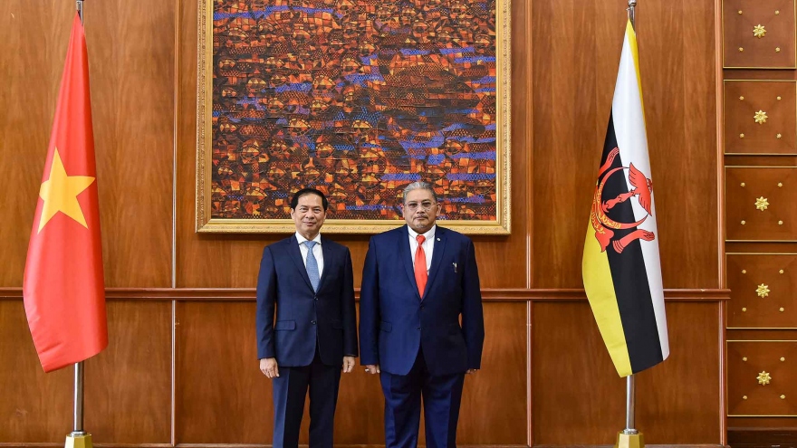 Thúc đẩy quan hệ Đối tác toàn diện Việt Nam - Brunei