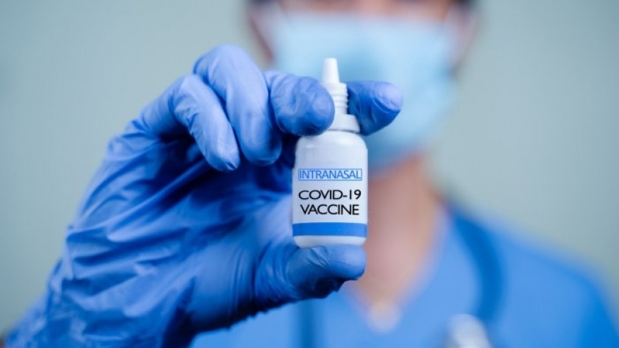 Ấn Độ cấp phép sử dụng khẩn cấp vaccine nhỏ mũi ngừa Covid-19