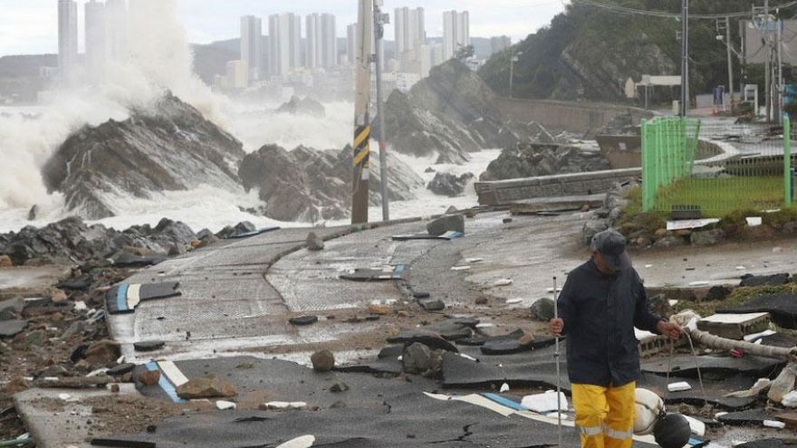 Siêu bão Hinnamnor nuốt chửng đường phố, Hàn Quốc dốc sức cứu hộ nạn nhân