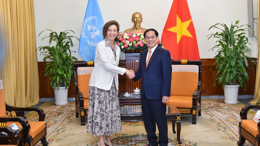 UNESCO đánh giá cao đóng góp thực chất của Việt Nam trong công việc chung