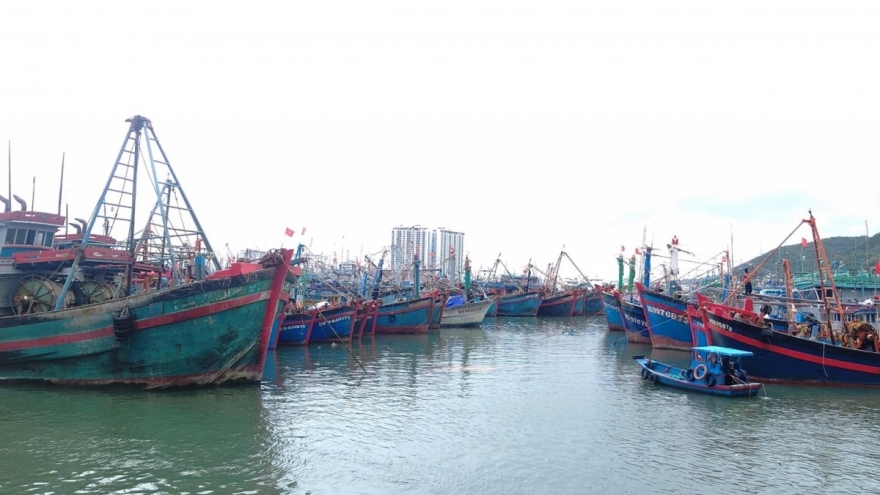 Khánh Hòa triển khai nhiều biện pháp chống khai thác thủy sản bất hợp pháp