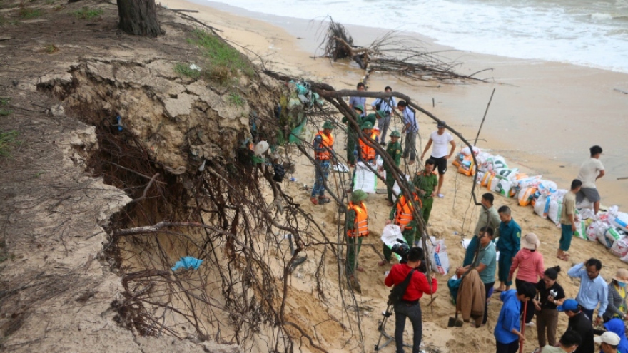 Thừa Thiên Huế: Gia cố khẩn cấp chống sạt lở bờ biển ở huyện Phú Vang
