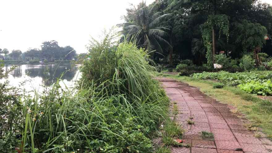 Vườn hoa, công viên tại Long Biên bỏ hoang um tùm do thiếu kinh phí duy tu?