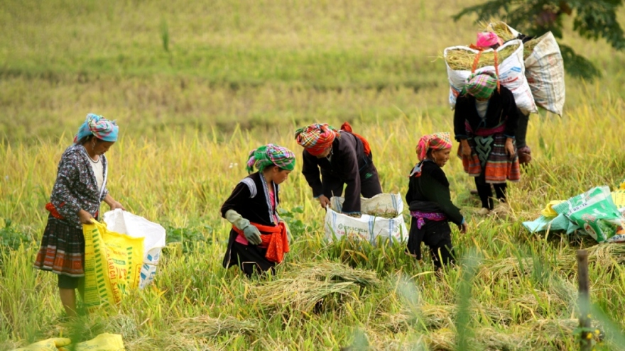 Chính phủ Việt Nam ưu tiên tăng trưởng kinh tế gắn với chăm lo cho người nghèo