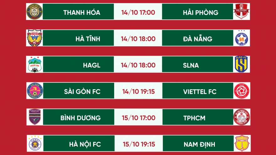 Lịch thi đấu vòng 19 V-League 2022: HAGL gặp SLNA, Hà Nội FC đấu Nam Định