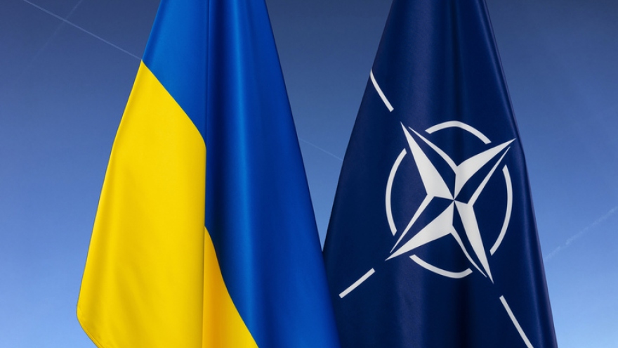 Phản ứng trái chiều của các thành viên NATO sau khi Ukraine xin gia nhập