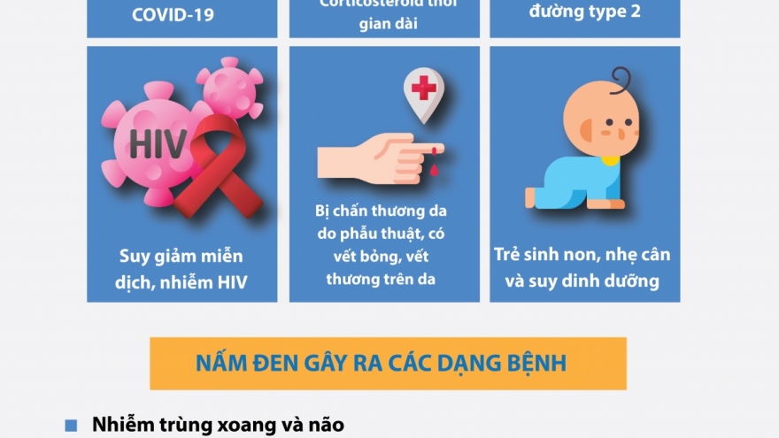 Những điều cần biết về bệnh nhiễm nấm đen