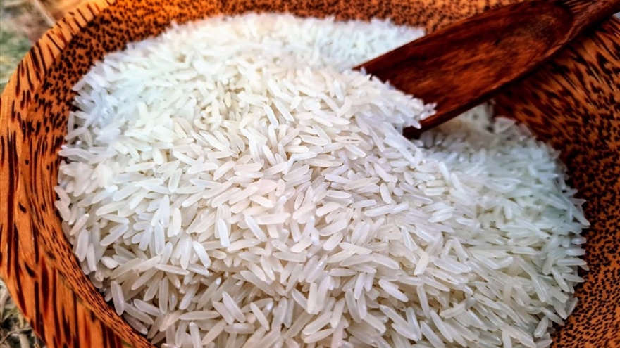 Giá gạo giảm mạnh nhất trong vòng 45 năm, người dân lo ngại giá thu mua thấp