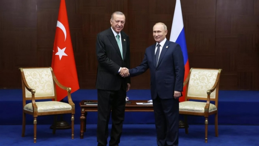 Tổng thống Nga và Thổ Nhĩ Kỳ điện đàm về tình hình thỏa thuận ngũ cốc