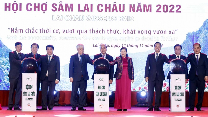 Chủ tịch nước: Phát triển sâm Lai Châu để người dân thoát nghèo, làm giàu