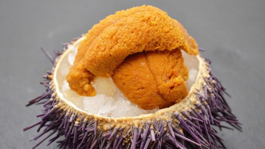 Trứng nhum biển Nhật Bản giá siêu đắt đỏ, có gì đặc biệt?