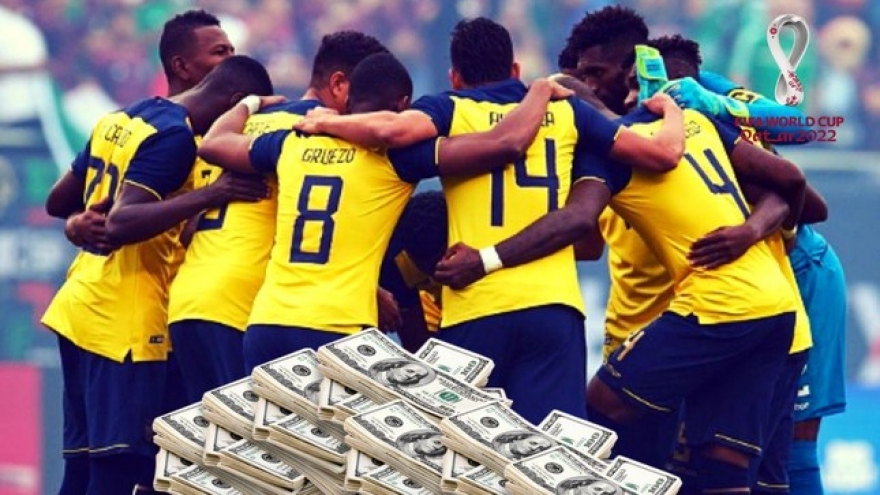 Nghi án Qatar hối lộ 7,4 triệu USD cho Ecuador để thắng trận khai mạc World Cup