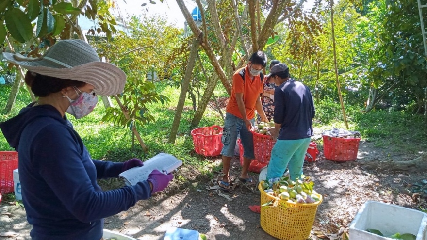 Phát triển kinh tế xanh và nông nghiệp tuần hoàn trong các HTX