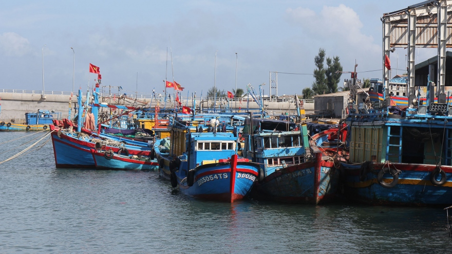 Ngư dân Bình Định than phiền vì cảng cá Đề Gi xuống cấp nghiêm trọng