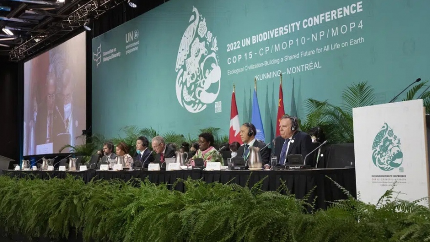 COP15 bế mạc với thỏa thuận tham vọng về bảo tồn đa dạng sinh học