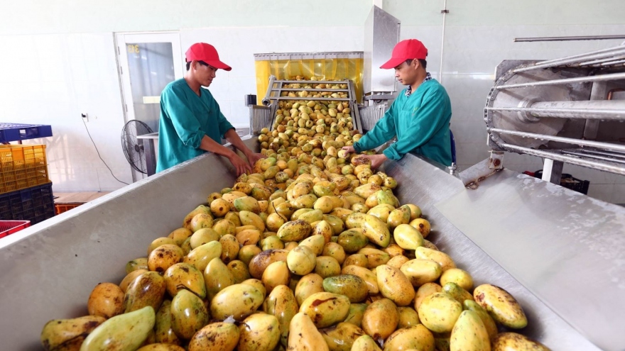 Đạt tăng trưởng vượt xa mục tiêu đề ra: Nông sản Việt vươn ra biển lớn