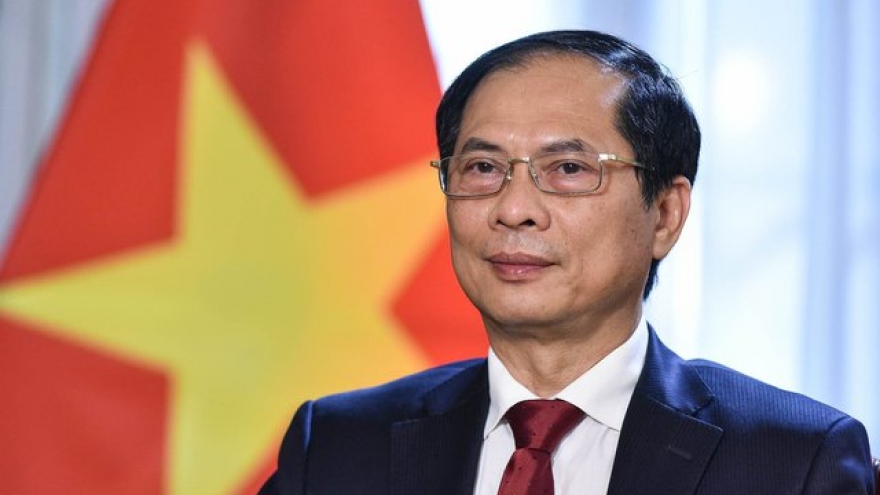 Ngoại giao Việt Nam năm 2022: Phát huy mạnh mẽ bản sắc “cây tre Việt Nam”   