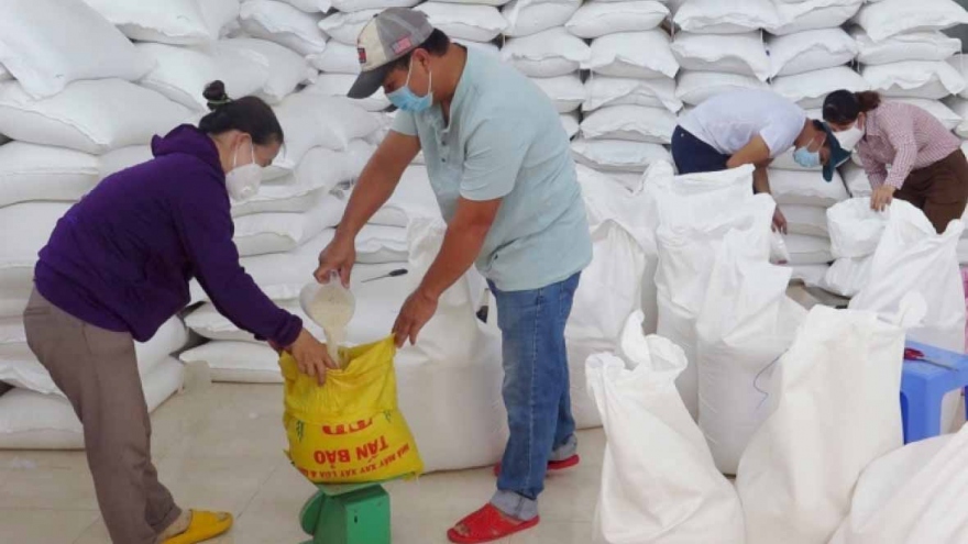 Xuất cấp gạo cho 5 tỉnh dịp Tết Nguyên đán và giáp hạt năm 2023
