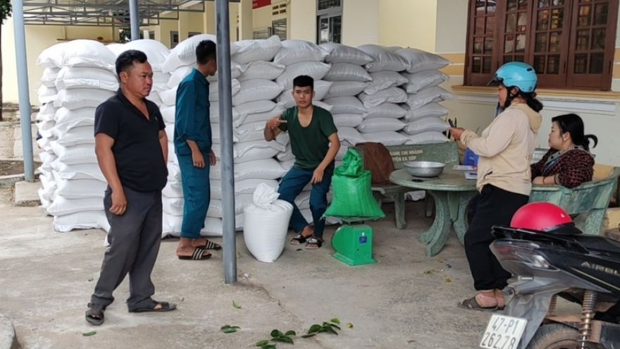 Hàng chục nghìn hộ khó khăn ở Đắk Lắk, Đắk Nông nhận gạo hỗ trợ Tết của Chính phủ