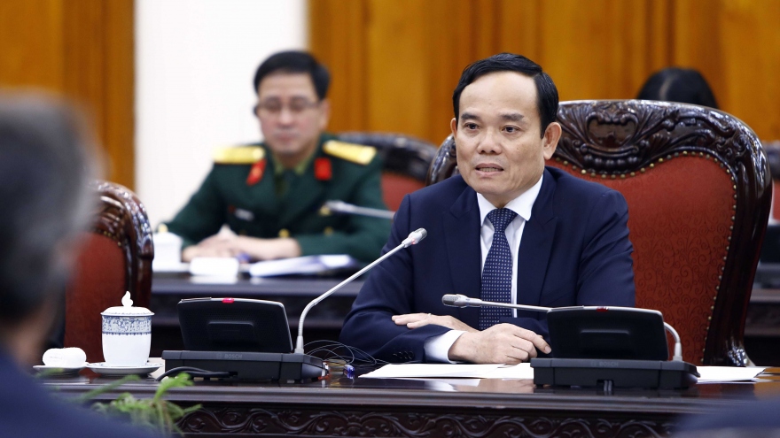 Phó Thủ tướng Trần Lưu Quang tiếp Đoàn Ủy ban Đối ngoại của Nghị viện châu Âu
