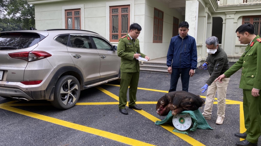 Bắt giữ đối tượng săn bắt, mua bán động vật quý hiếm tại Ninh Bình