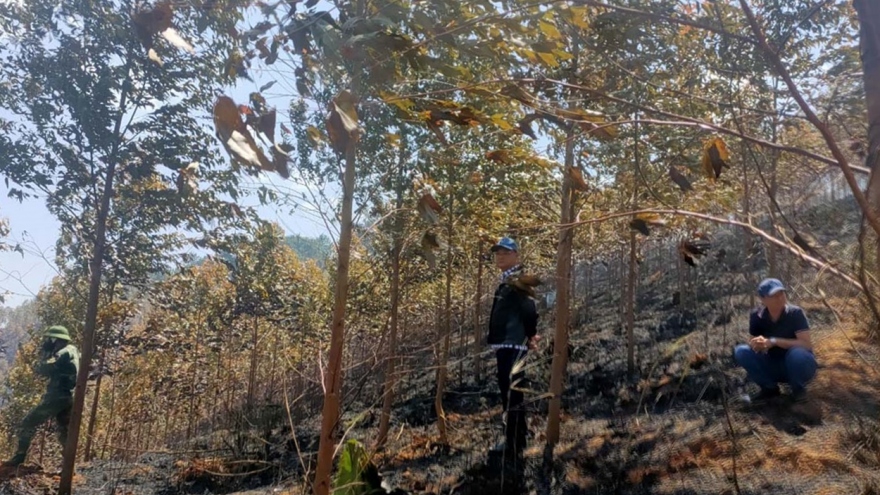 Dập tắt vụ cháy rừng, phát hiện 2 người tử vong