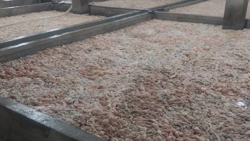 Phát hiện hơn 7 tấn lòng lợn bốc mùi hôi thối ở Bắc Ninh