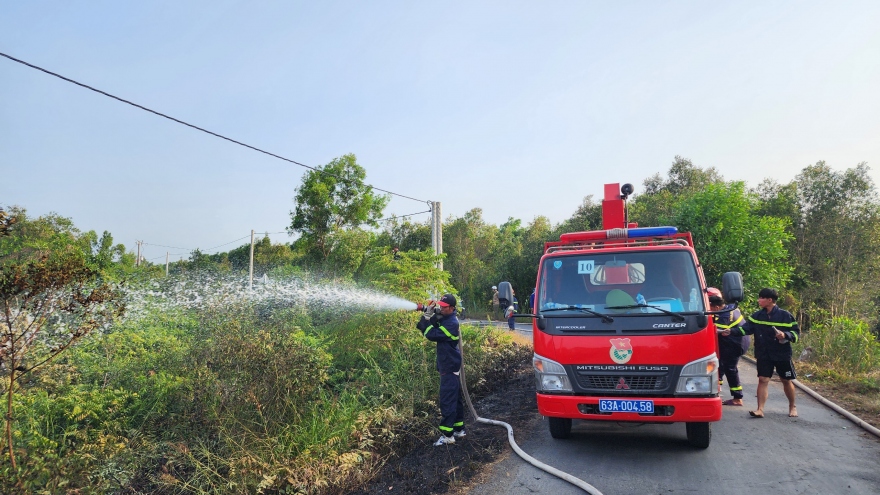 Đã dập tắt đám cháy rừng tràm ở Châu Thành, Tiền Giang