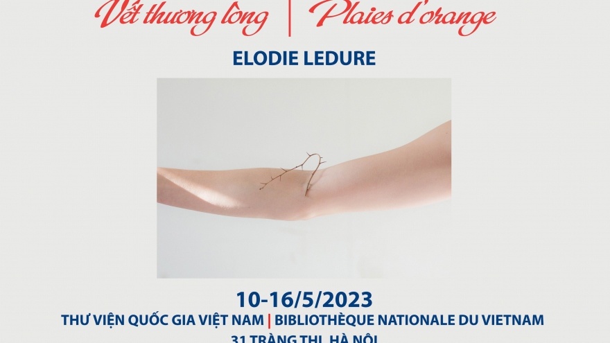 Khai mạc triển lãm "Vết thương lòng" của nữ nghệ sĩ người Bỉ - Elodie Ledure