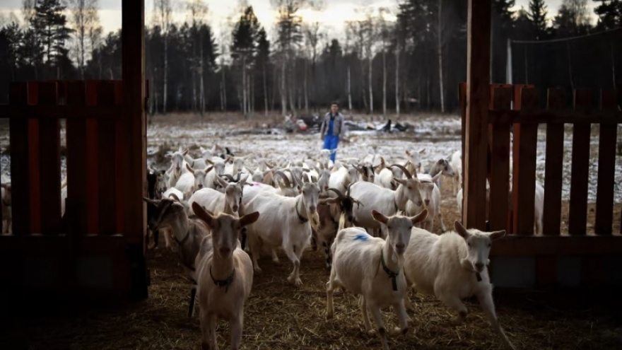 Ba Lan kêu gọi trừng phạt nông sản Nga