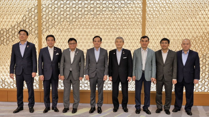 Phó Thủ tướng Trần Lưu Quang gặp Chủ tịch Hạ viện Nhật Bản