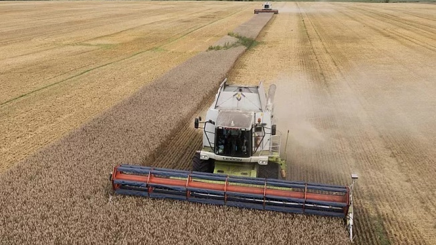 EU gia hạn lệnh cấm đối với ngũ cốc Ukraine đến giữa tháng 9