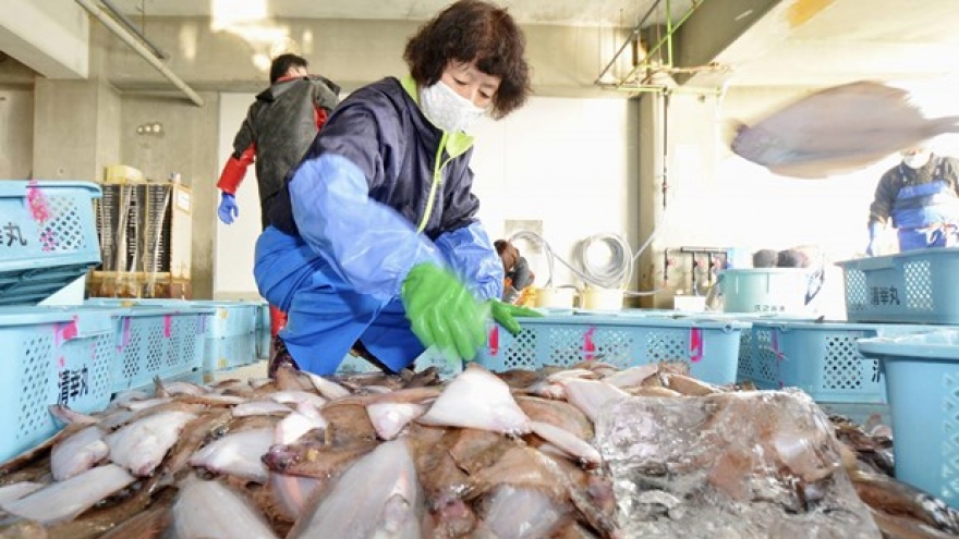 Nhập khẩu thủy sản từ Nhật Bản của Hàn Quốc giảm hơn 30% trong tháng 5