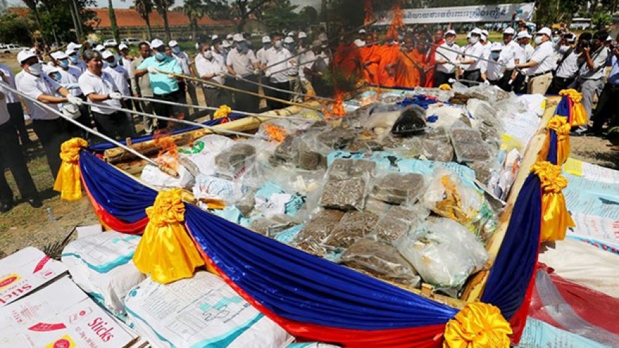 Campuchia tiến hành tiêu hủy lượng ma túy khổng lồ