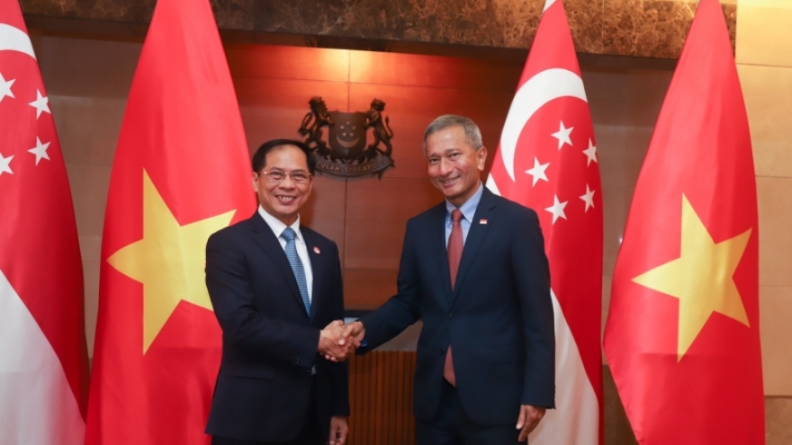 Bộ trưởng Bùi Thanh Sơn hội đàm với Bộ trưởng Ngoại giao Singapore