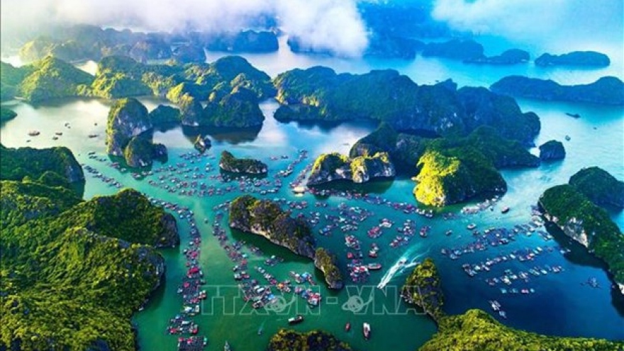 More efforts made to seek world heritage recognition for Ha Long Bay-Cat Ba