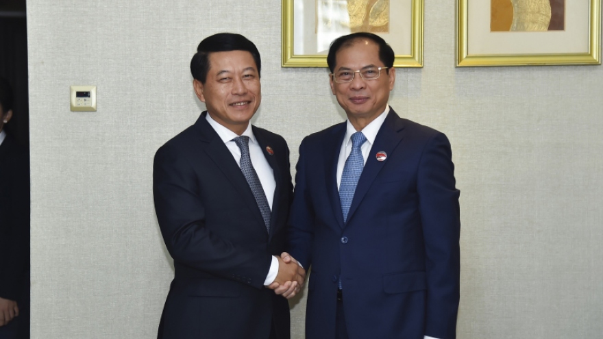Việt Nam và Lào nhất trí phối hợp chặt chẽ tại các diễn đàn đa phương