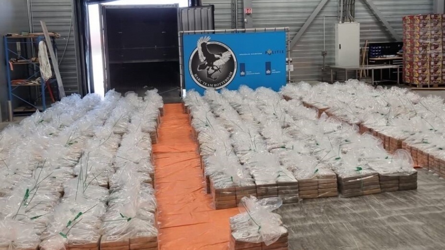 Hà Lan thu giữ hơn 8 tấn cocaine tại cảng Rotterdam