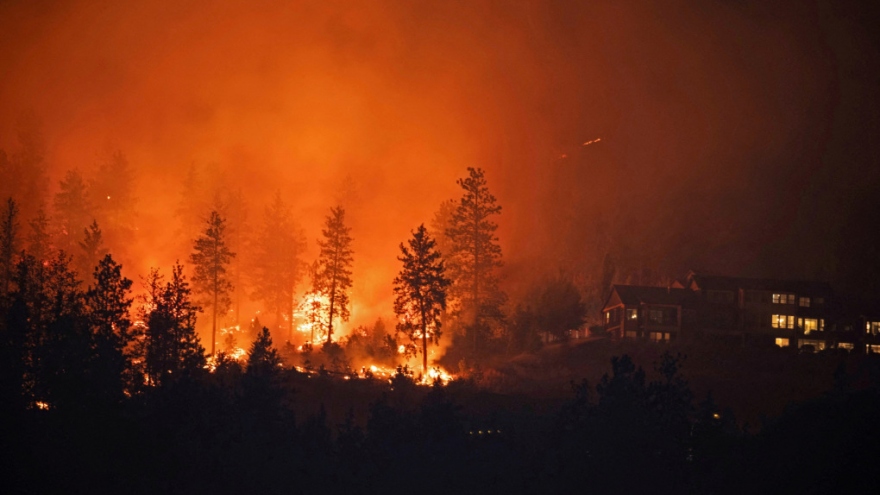 Thế giới đang phải chứng kiến những đám cháy rừng nghiêm trọng