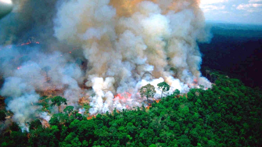 Hội nghị thượng đỉnh Amazon tìm giải pháp cứu “lá phổi xanh” của Trái Đất