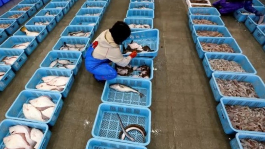 Hong Kong (Trung Quốc) sẽ cấm nhập khẩu một số hải sản của Nhật Bản
