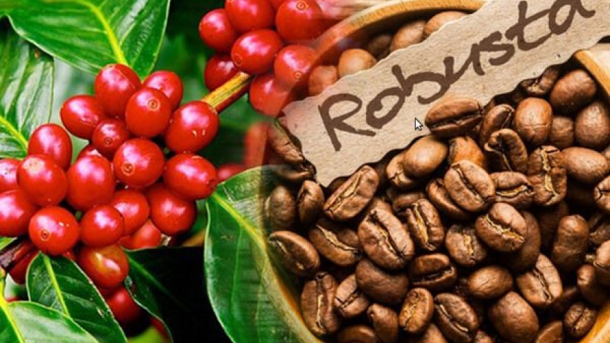 Coffee exports to New Zealand enjoy three-digit growth