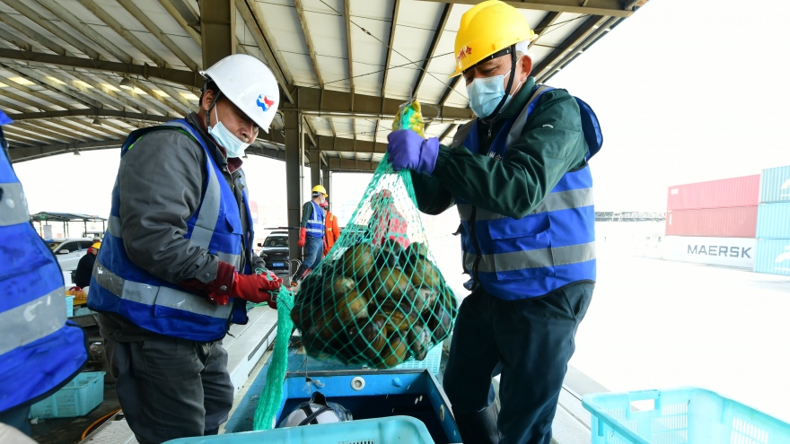Trung Quốc cấm nhập khẩu thủy hải sản của Nhật Bản