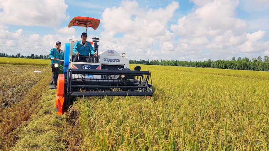Dự báo xuất khẩu gạo của Việt Nam đạt kỷ lục mới cả sản lượng, giá trị xuất khẩu